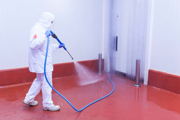 Pre-Holiday Cleaning in The Hideout, PA